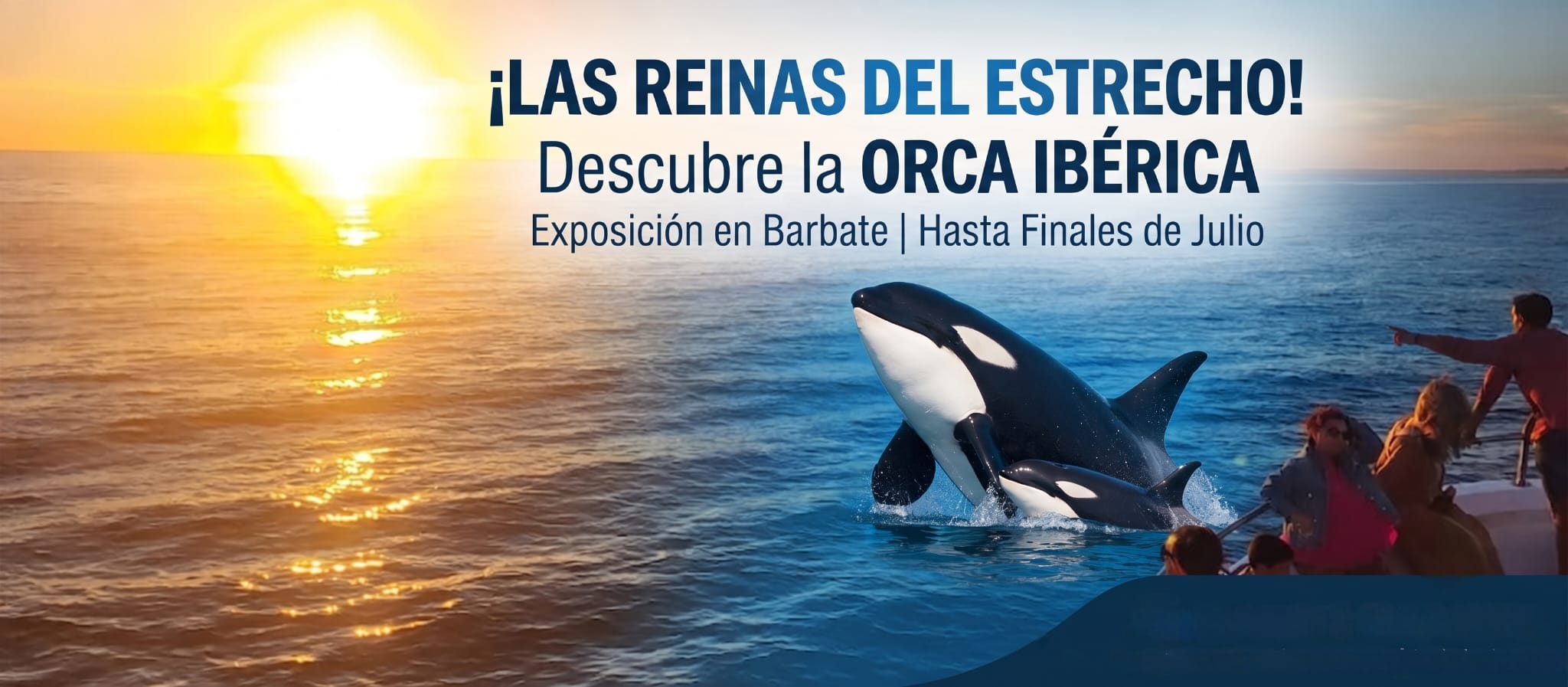 La orca ibérica exposición en Barbate WhatsApp Image 2026 07 15 at 19.49.38